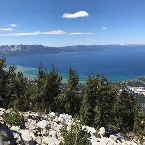 Meet your Posher, Rosemary